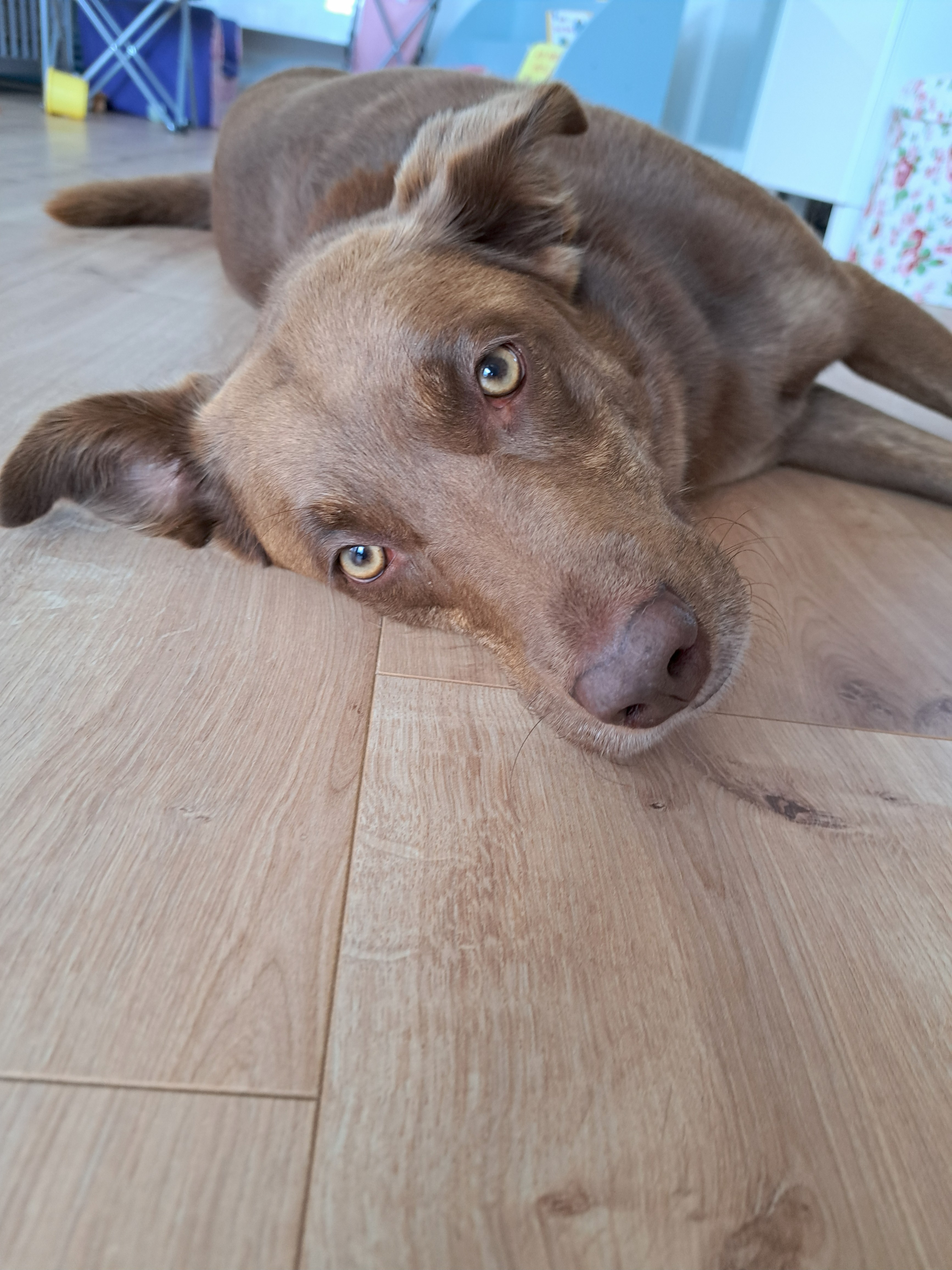 Nelly_1000084955.jpg